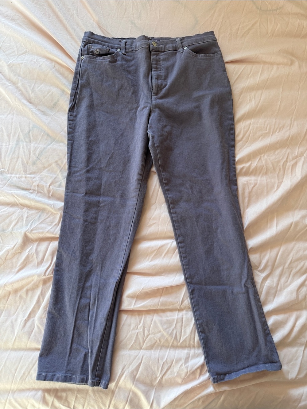 Gloria Vanderbilt Skinny Jeans in Faded Blue - Picture 6 of 9